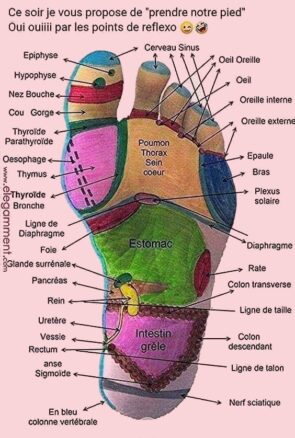 reflexologie
